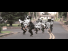 https://image.noelshack.com/fichiers/2014/09/1393280873-tumblr-n1gckew2np1run8u4o1-400.gif