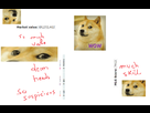 https://image.noelshack.com/fichiers/2014/09/1393434845-rofl.png