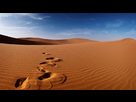 https://image.noelshack.com/fichiers/2014/09/1393600025-desert-tracks.jpg