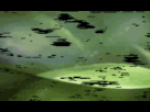 https://image.noelshack.com/fichiers/2014/09/1393734504-abandonthread.gif