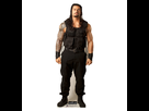 https://image.noelshack.com/fichiers/2014/09/1393786983-roman-reigns.jpg