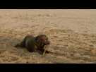 https://image.noelshack.com/fichiers/2014/10/1393869946-broadchurch.png
