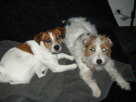 https://image.noelshack.com/fichiers/2014/10/1393969068-dscf6253.gif