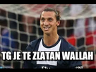 https://www.noelshack.com/2014-10-1394036338-zlatan.jpg