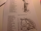 https://image.noelshack.com/fichiers/2014/10/1394226847-dsc-0051.jpg