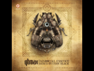 https://image.noelshack.com/fichiers/2014/10/1394403287-qlimax-2013-immortal-essence-mixed-by-code-black-bymcd047.jpeg
