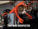 https://image.noelshack.com/fichiers/2014/11/1394574146-fa70a-that-was-unexpected.jpg