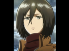 https://image.noelshack.com/fichiers/2014/11/1394826428-mikasa-profil-anime2.png