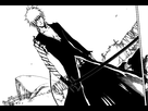 https://image.noelshack.com/fichiers/2014/11/1394925145-bleach-01.jpg
