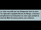 https://image.noelshack.com/fichiers/2014/11/1394965455-iphone-image-03-16-2014.jpg