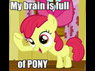https://image.noelshack.com/fichiers/2014/11/1394992406-160429-apple-bloom-brain-full-macro-pony.jpeg