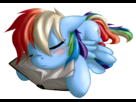 https://www.noelshack.com/2014-11-1395005509-181882-artist-sh2otingstar-book-rainbow-dash-sleeping-socks.png