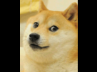 https://image.noelshack.com/fichiers/2014/12/1395092450-77e.gif