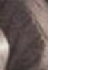 https://image.noelshack.com/fichiers/2014/12/1395092653-892009615.png