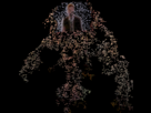 https://image.noelshack.com/fichiers/2014/12/1395092668-cisla.gif