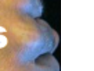 https://image.noelshack.com/fichiers/2014/12/1395092963-729964507.png