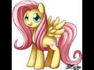 https://www.noelshack.com/2014-12-1395209215-669-safe-fluttershy-artist-colon-solar-dash-slash.png