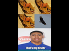 https://image.noelshack.com/fichiers/2014/12/1395262797-i-don-amp-039-t-always-see-my-sister-but-when-i-do-i-eyebrows-o-2453623.jpg