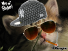 https://image.noelshack.com/fichiers/2014/12/1395262883-793631650-1300430.gif