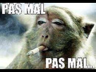 https://image.noelshack.com/fichiers/2014/12/1395264642-pas-mal.jpg