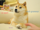 https://image.noelshack.com/fichiers/2014/12/1395596535-doge-261.png
