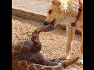 https://image.noelshack.com/fichiers/2014/13/1395785089-604064-605300699561252-241910967-n.jpg