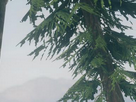 https://image.noelshack.com/fichiers/2014/13/1395951433-arkesya15.png