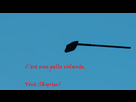 https://image.noelshack.com/fichiers/2014/13/1395960779-2014-03-25-00004.jpg