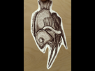 https://image.noelshack.com/fichiers/2014/14/1396373576-poisson-d-avril.jpg