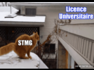 https://image.noelshack.com/fichiers/2014/14/1396379782-latristeviedunstmg.gif