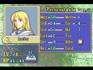 https://image.noelshack.com/fichiers/2014/14/1396530135-visualboyadvance-2014-04-03-15-02-01-41.jpg