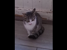 https://image.noelshack.com/fichiers/2014/15/1397071382-android-image-04-09-2014.jpg
