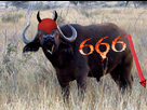 https://image.noelshack.com/fichiers/2014/15/1397166681-belzebuffle-1.png