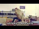 https://image.noelshack.com/fichiers/2014/15/1397415444-xsgglbj.gif