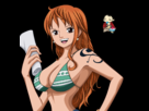 https://image.noelshack.com/fichiers/2014/16/1397565591-nami-one-piece-render-2y.png