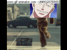 https://image.noelshack.com/fichiers/2014/16/1397686055-ener-swagg.gif