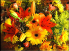 https://image.noelshack.com/fichiers/2014/16/1397754266-photos-de-fleurs.jpg