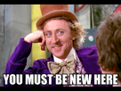 https://image.noelshack.com/fichiers/2014/16/1397941654-willy-wonka-you-must-be-new-here.jpg
