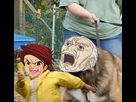 https://image.noelshack.com/fichiers/2014/17/1398156728-lest2.png
