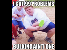 https://image.noelshack.com/fichiers/2014/17/1398509876-99-problems-but-bulking-aint-one.png