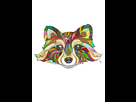 https://image.noelshack.com/fichiers/2014/18/1398908088-racoon-final-brouillon-ld.jpg