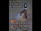 https://image.noelshack.com/fichiers/2014/18/1398963446-j3fmt4.jpg