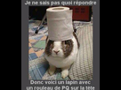 https://image.noelshack.com/fichiers/2014/18/1398980759-lapin.jpg