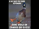 https://image.noelshack.com/fichiers/2014/18/1398980882-iphone-image-05-01-2014.jpg