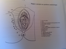 https://image.noelshack.com/fichiers/2014/18/1399111229-dsc-0052.jpg