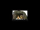 https://image.noelshack.com/fichiers/2014/18/1399206176-grotte2.gif