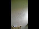 https://image.noelshack.com/fichiers/2014/19/1399494479-aquaman-phase1-wall-painting.jpg