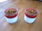 https://www.noelshack.com/2014-19-1399572969-panacotta-coulis-framboise-et-speculoos.jpg