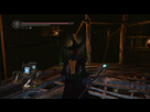 https://image.noelshack.com/fichiers/2014/19/1399684388-darksoulsii-exe-dx9-20140510-005208.png