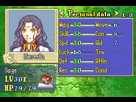 https://image.noelshack.com/fichiers/2014/20/1399887229-visualboyadvance-2014-05-12-11-33-37-02.jpg